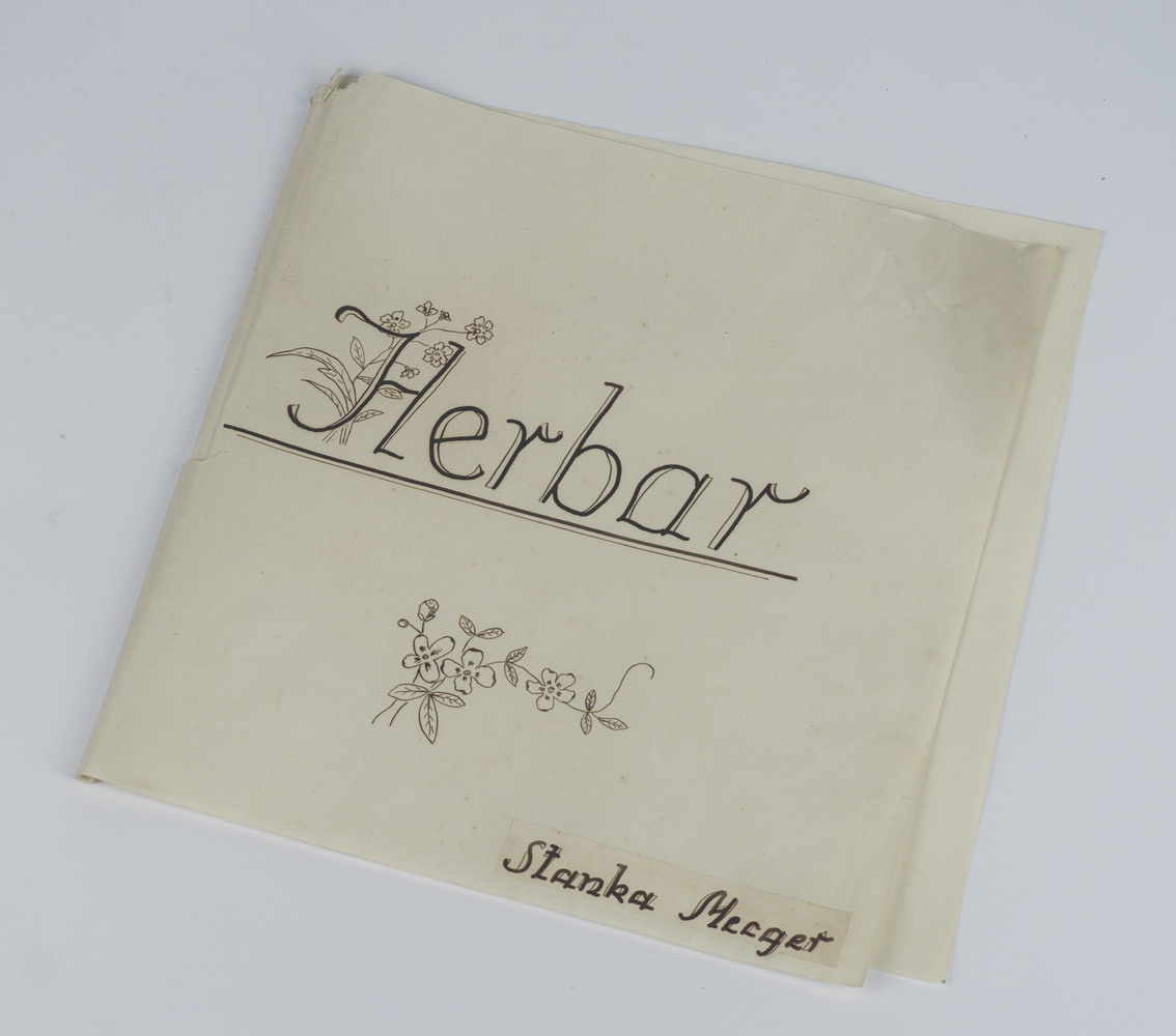 Herbar Stanke Mecger, Hrvatska, sredina 20. st. HŠM 31298