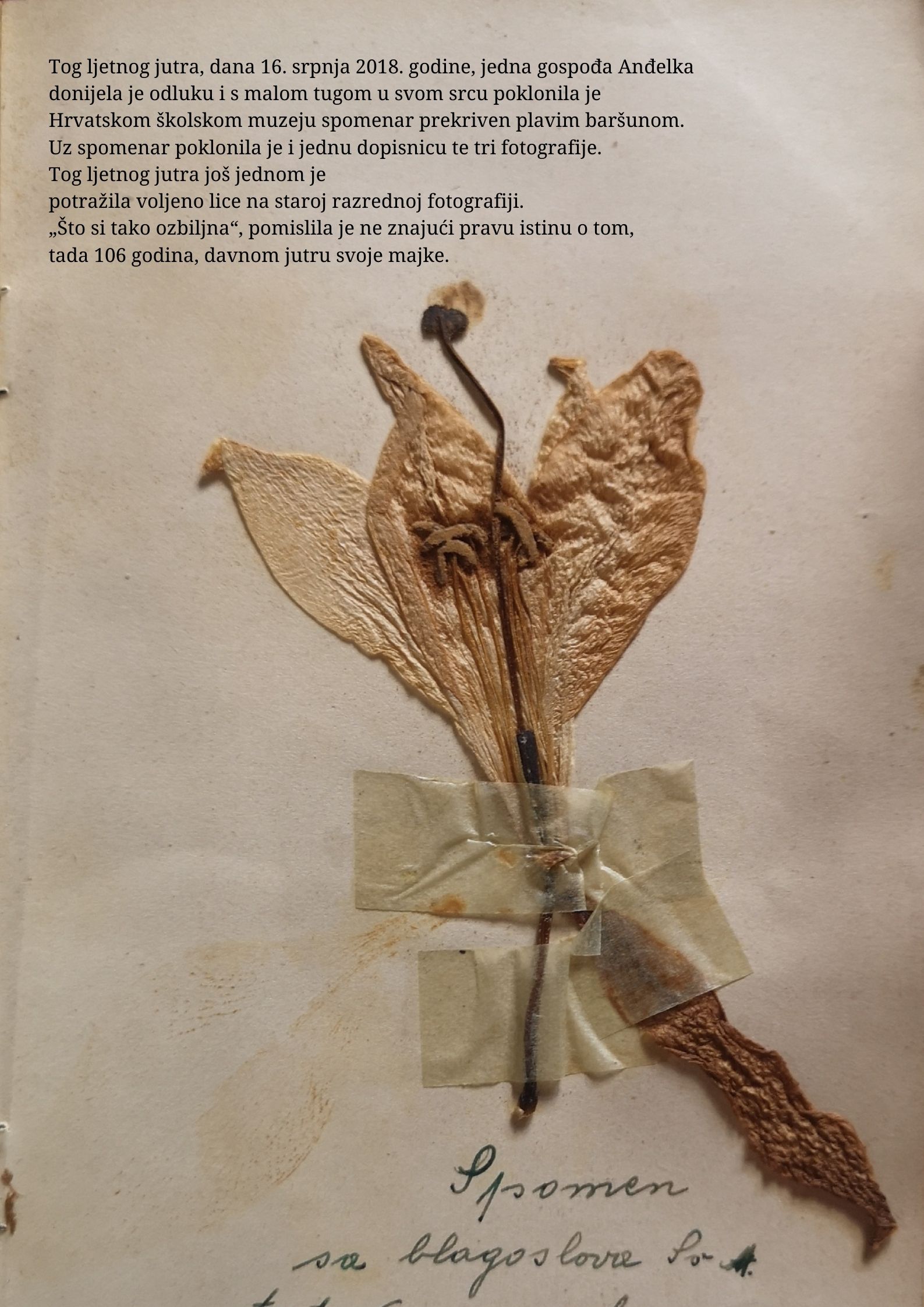 Izvanredna izložba! - slika 5