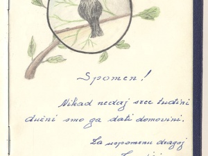 Spomenar, vlasnica: Šprung, Z., Varaždin, 1936. g., papir, tinta, drvene boje, 11,5x17 cm